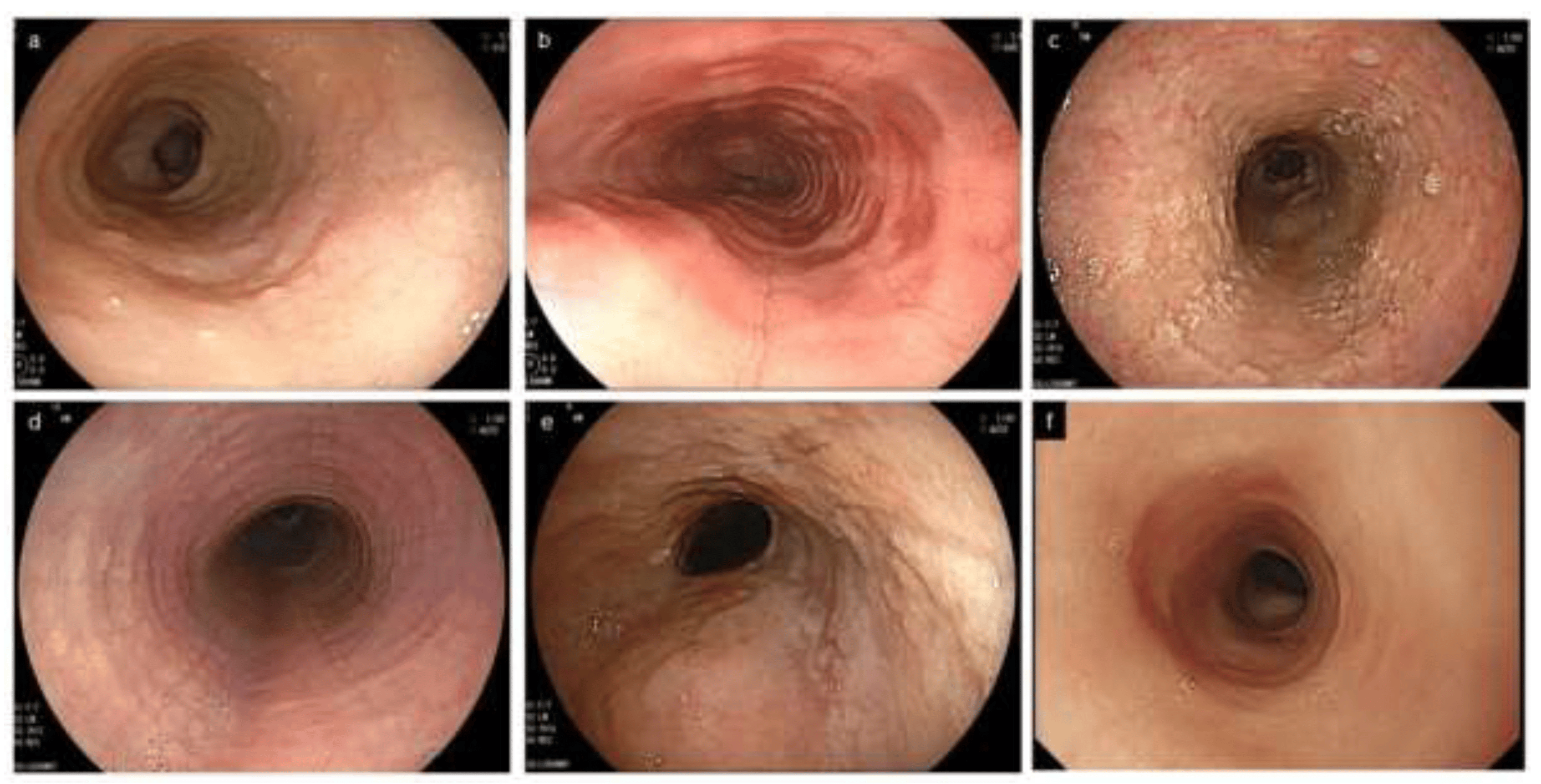 diagnostics 12 03202 g002