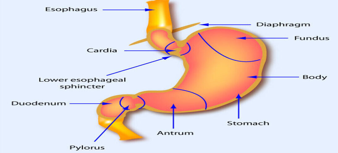 3704700138 10823a7afe z 1 e1715674344105