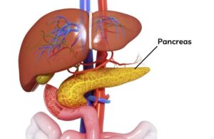 Hepatectomy (Liver Resection)