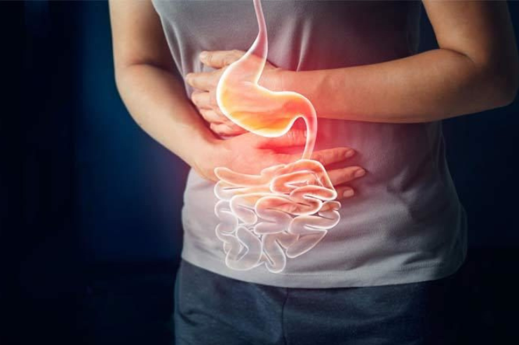 Common Gastrointestinal Disorders and How They’re Treated